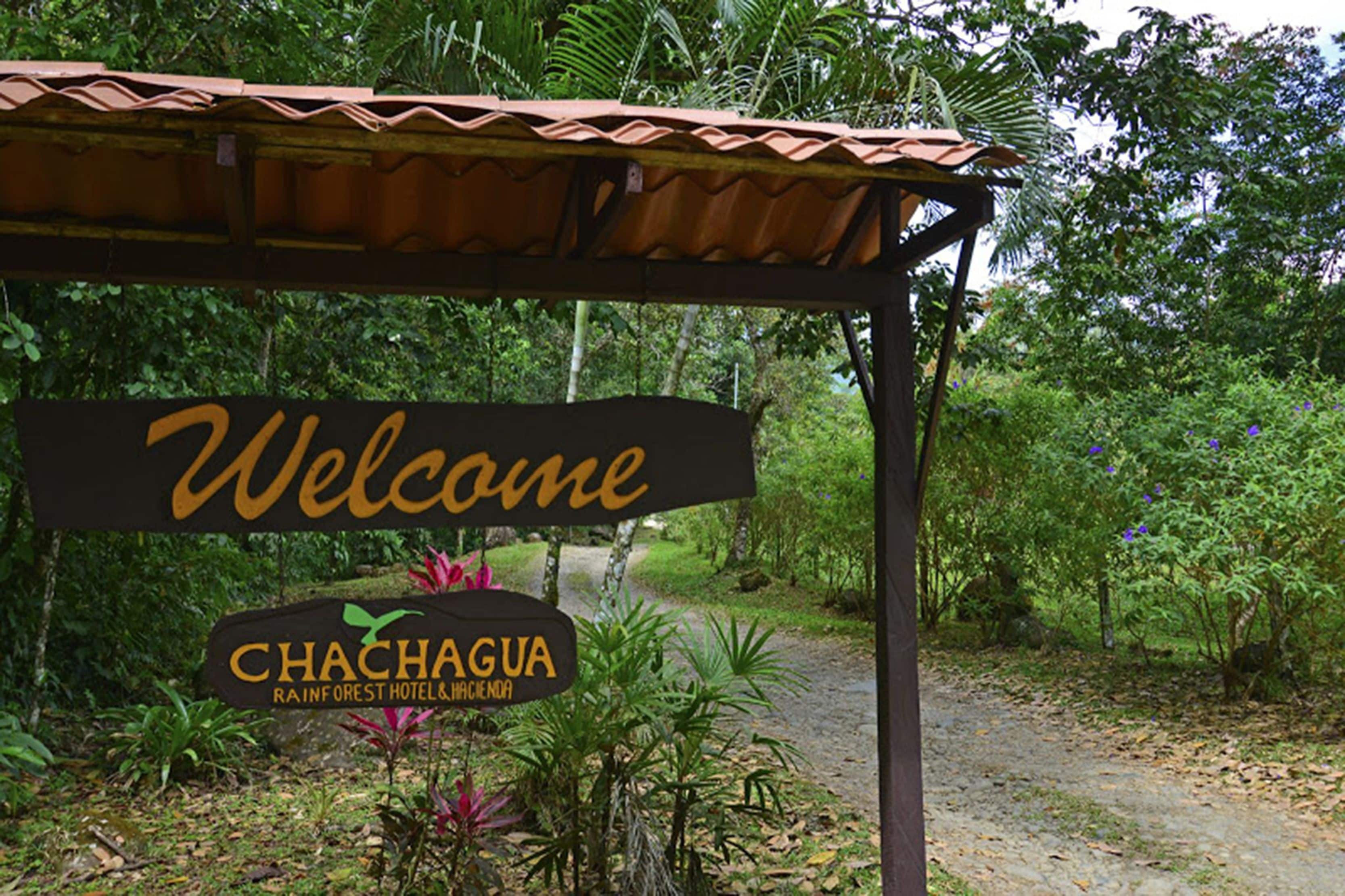 Foto - Chachagua Rainforest Hotel & Hot Springs