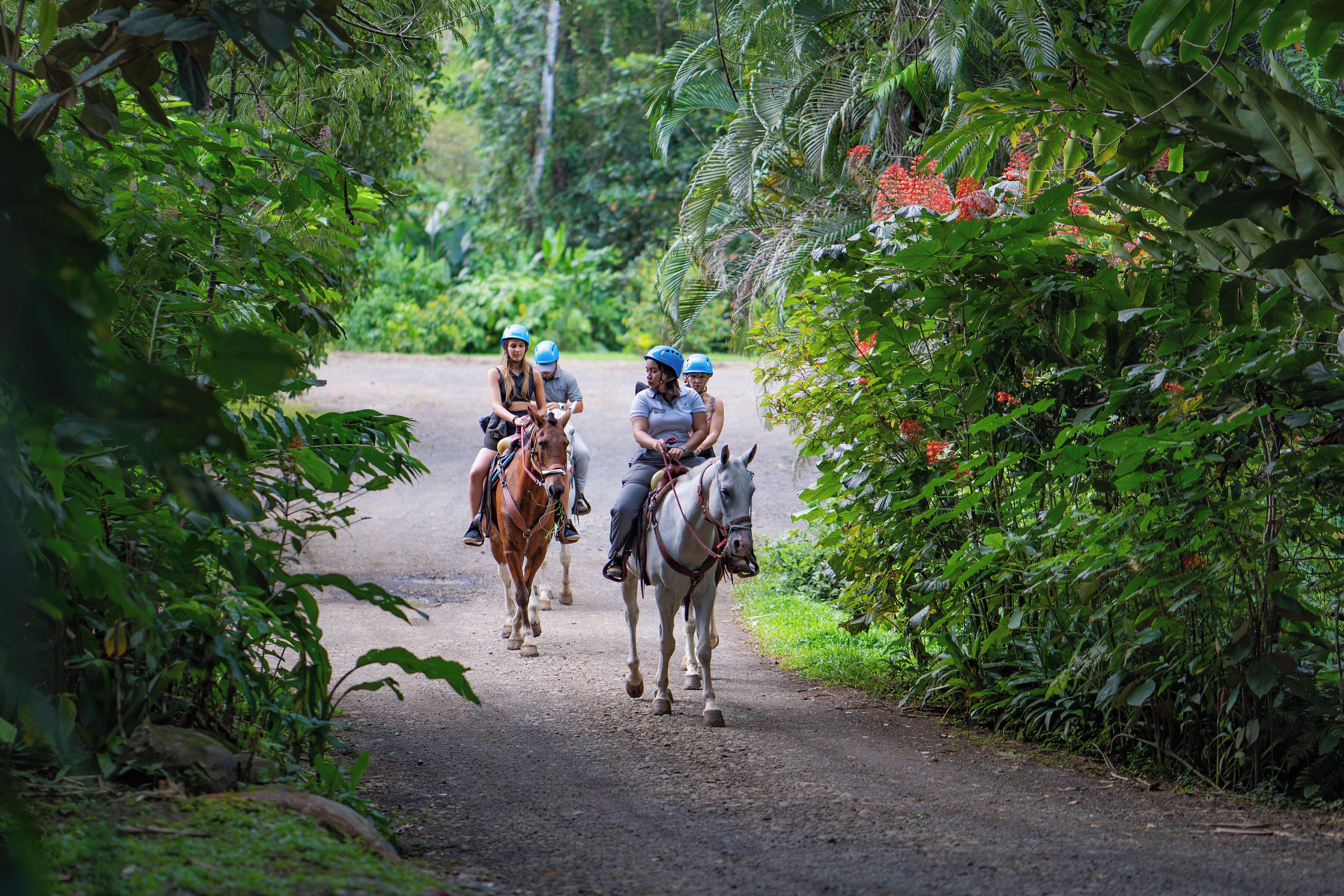 Trois personnes à cheval, sur un chemin de terre bordé d’une végétation luxuriante.