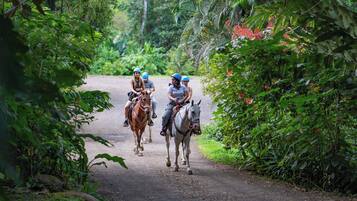 Trois personnes à cheval, sur un chemin de terre bordé d’une végétation luxuriante.