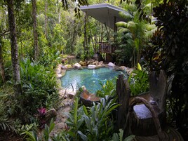 Una piscina natural rodeada de densa vegetación tropical, una terraza de madera y una zona de estar cubierta.
