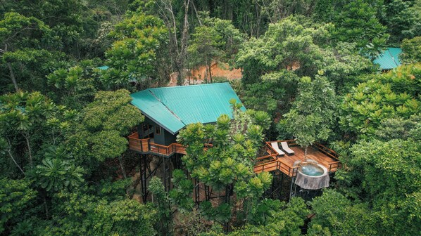 Jungle Treehouse