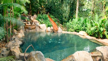 Una piscina natural rodeada de rocas y abundante vegetación.
