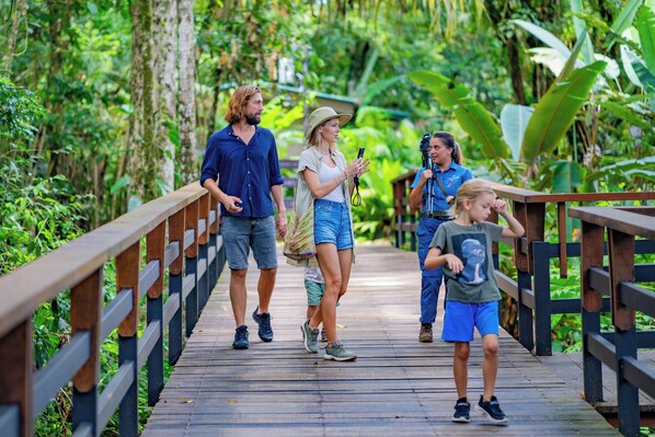 A wooden bridge with railings, surrounded by lush greenery.