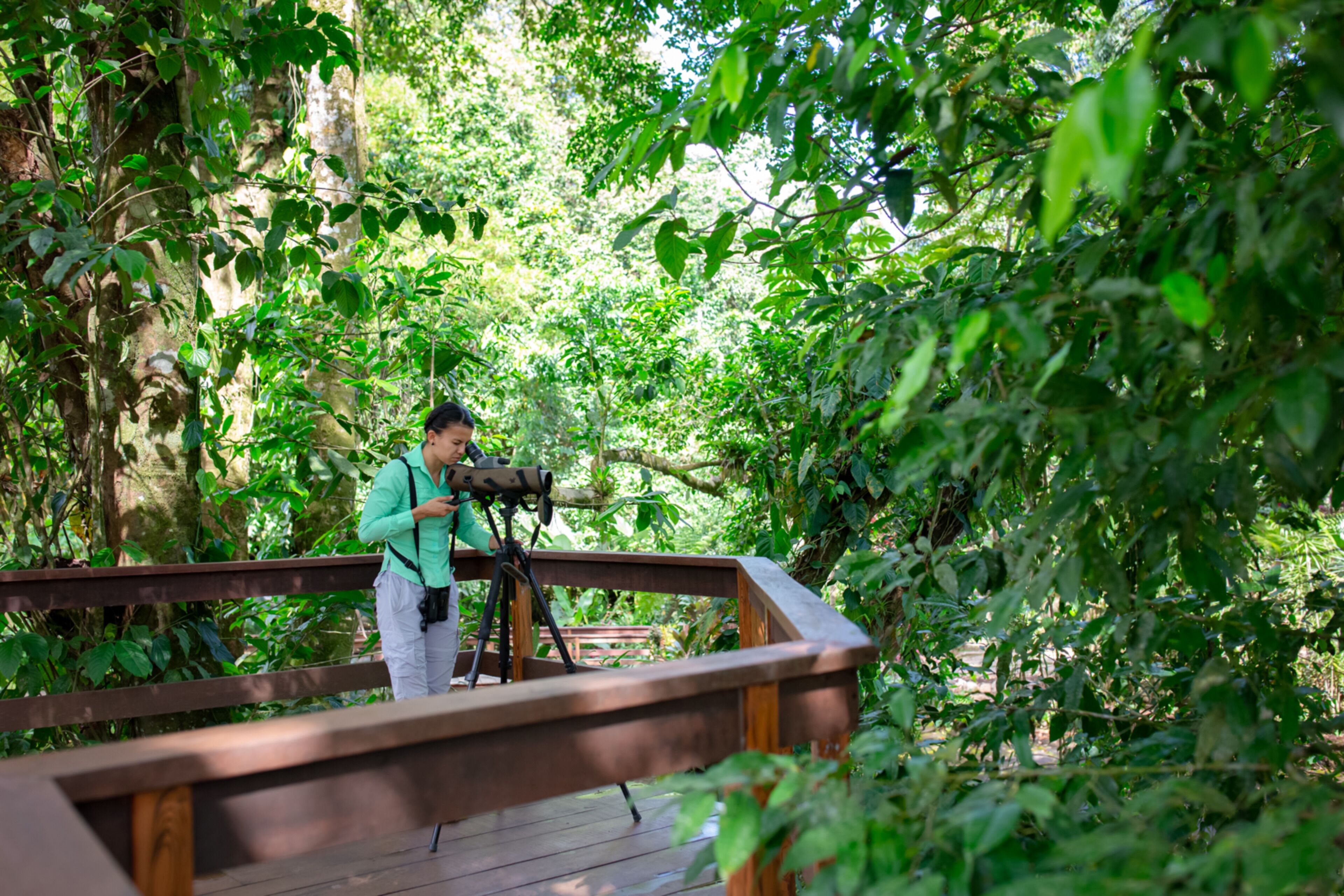 Foto - Chachagua Rainforest Hotel & Hot Springs