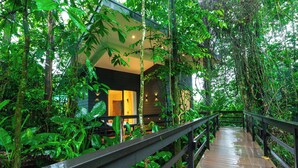 A wooden pathway leading to a modern building surrounded by dense tropical foliage. - Chachagua Rainforest Hotel & Hot Springs (Peñas Blancas)