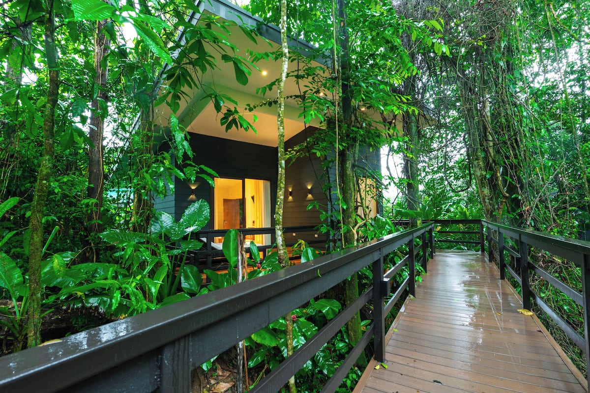 A wooden pathway leading to a modern building surrounded by dense tropical foliage.