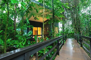 ห้องพัก (Villa del Rio Chachagua)