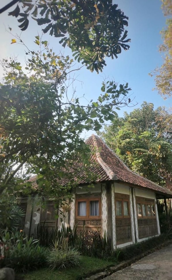 Une maison traditionnelle avec un toit en tuiles, entourée d’une végétation luxuriante et d’arbres.