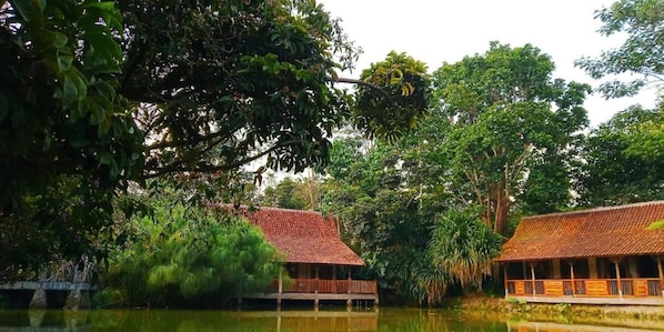 A traditional wooden structure with a tiled roof, surrounded by lush greenery and a calm body of water.