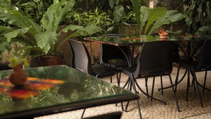 Een glazen tafel met stoelen, omringd door weelderige groene planten en een stenen muur.