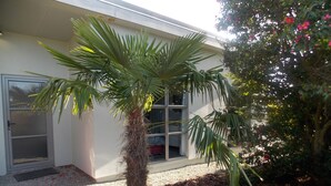 Une maison avec un palmier dans le jardin, une fenêtre et une porte.