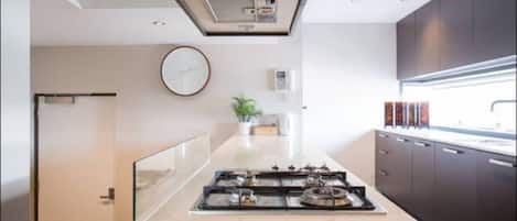 Deluxe Two Bedroom Apartment | Private kitchen | Full-size fridge, microwave, oven, stovetop