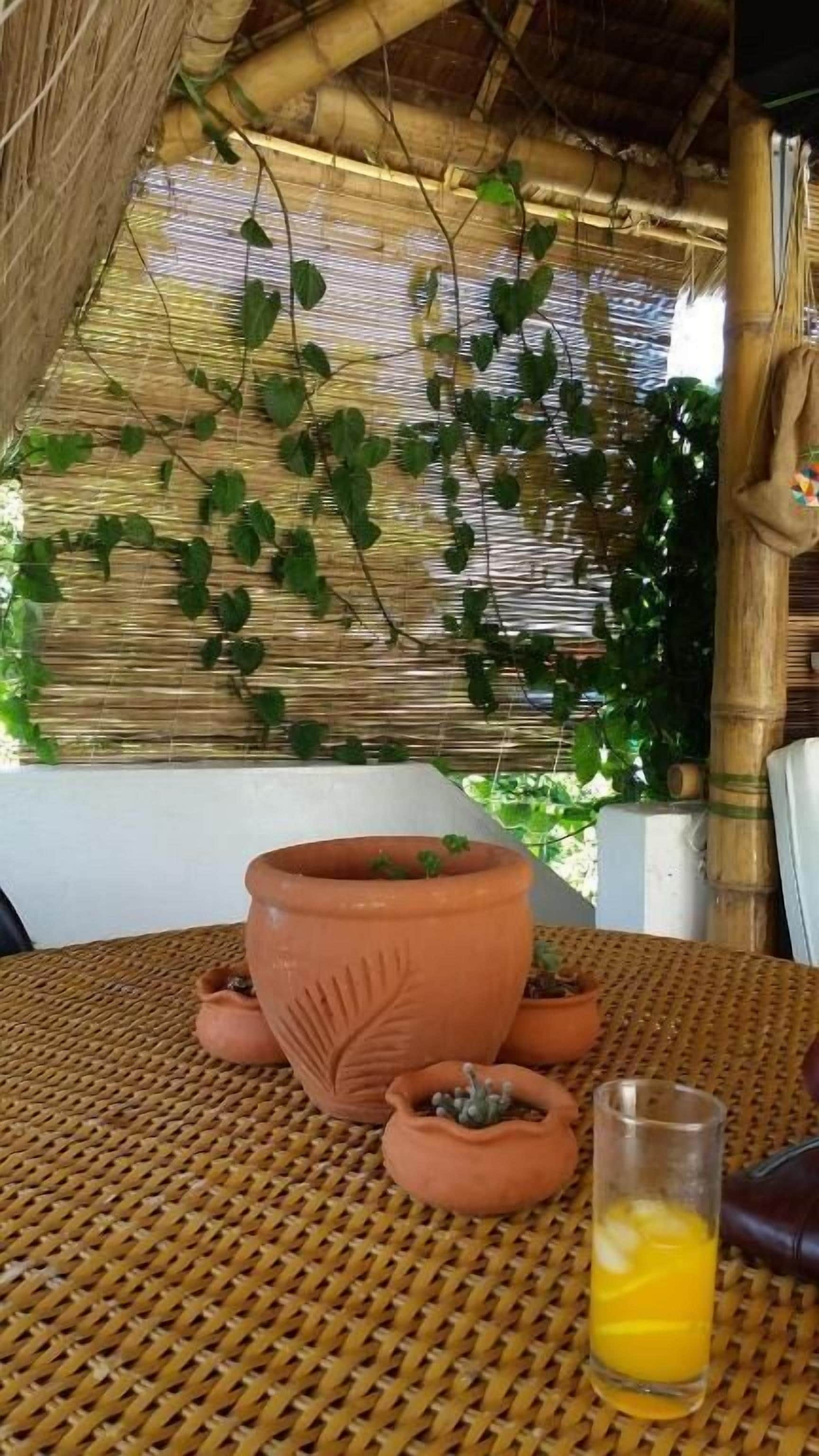 Foto - MY Hostel Boracay