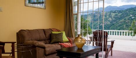 Superior Apartment, 2 Bedrooms, Terrace, Courtyard View | Living room | 50-inch flat-screen TV with cable channels, TV, DVD player