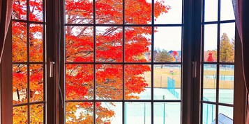 Vista desde la habitación