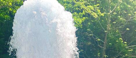A large water fountain surrounded by lush greenery.