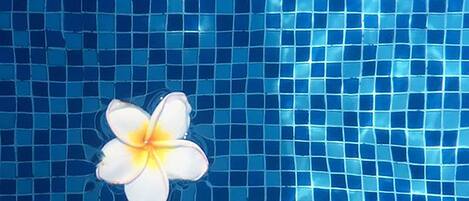 A pool with a single white flower floating on the water.
