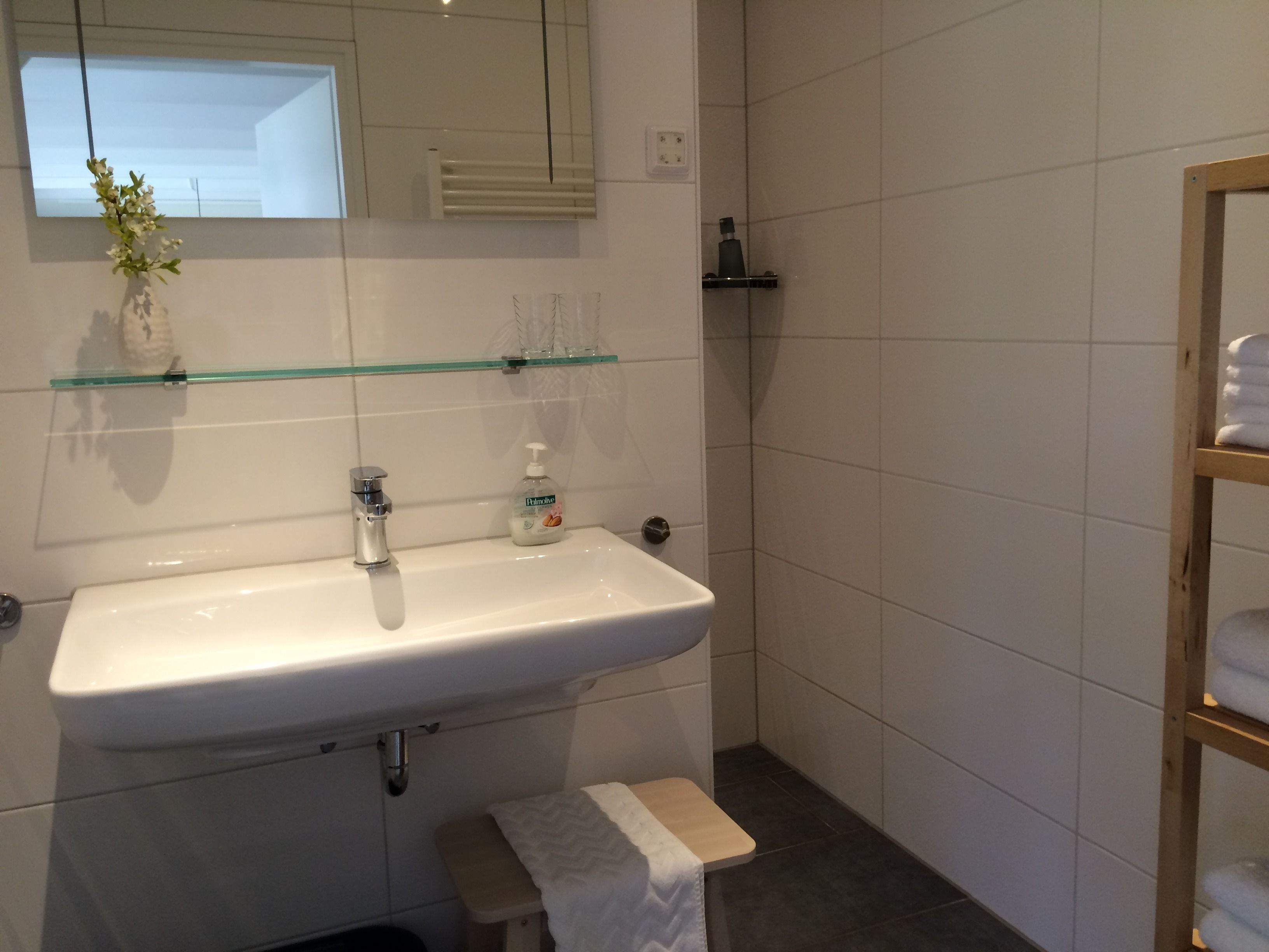 grand apartment, 2 bedrooms (de pionier) | bathroom | shower, free toiletries, hair dryer, towels