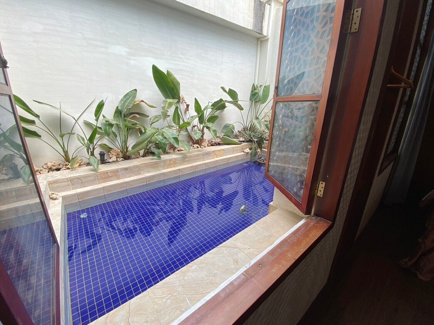A small indoor pool with blue tiles, surrounded by plants and a wooden bench.