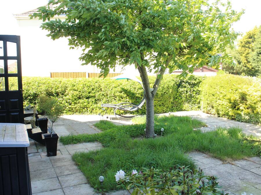 A garden with a tree, a bench, and a small table.