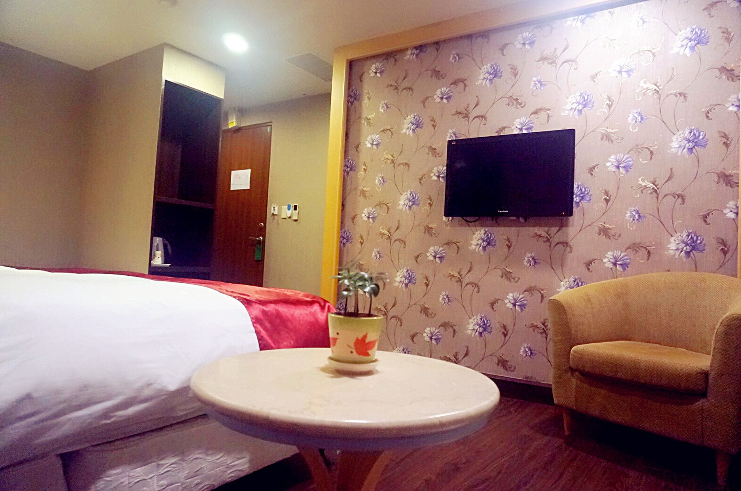 Habitación de hotel con una cama, una mesa redonda con una planta, un sof á y un televisor montado en la pared.