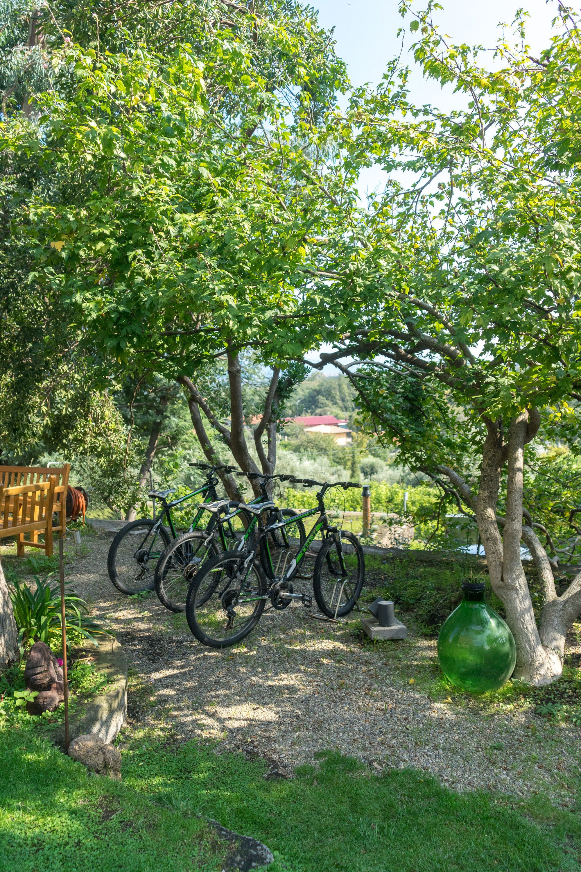 A bicycle parked under a tree in a garden with a bench and a large green bottle.