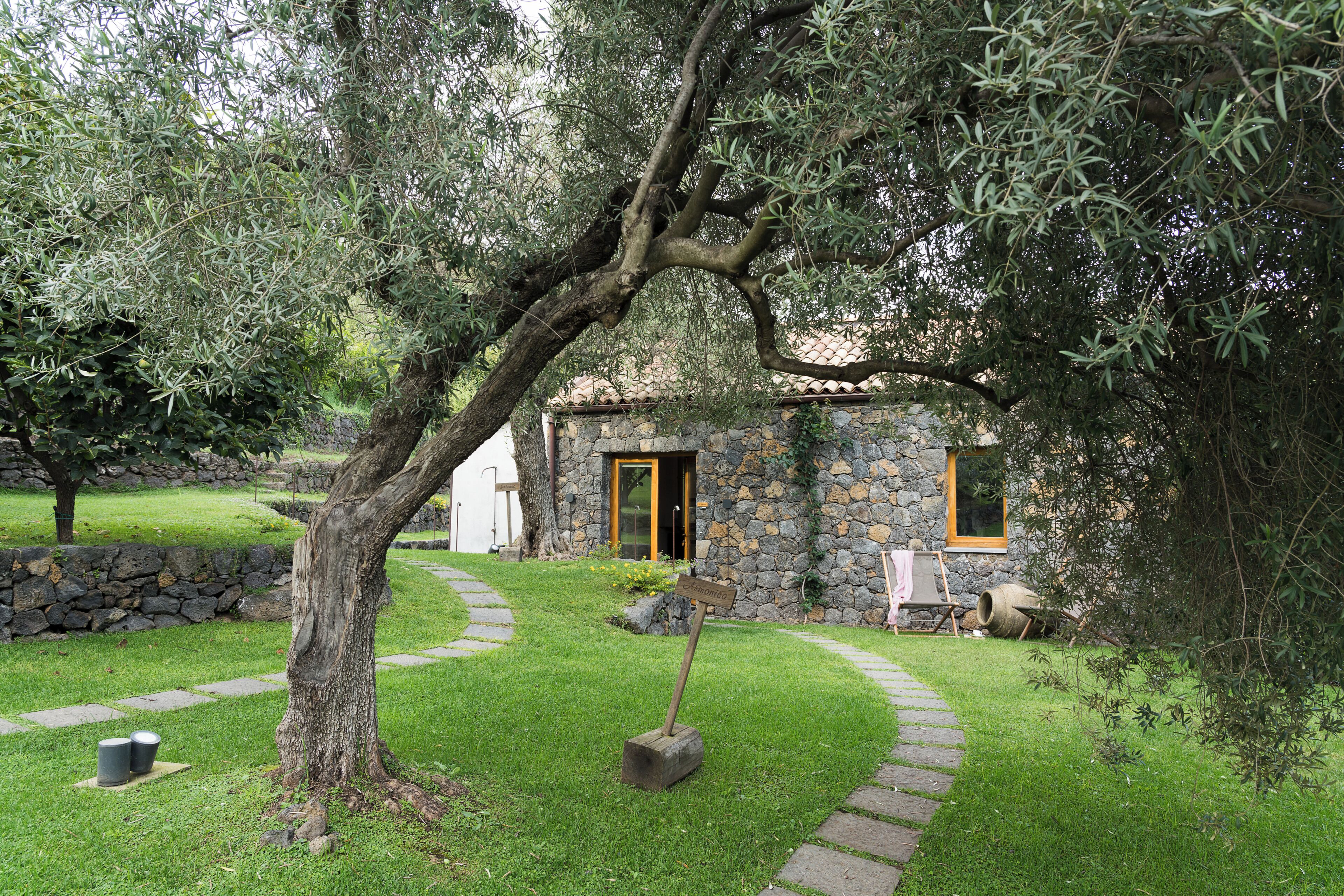 Un edificio in pietra con un vialetto in pietra che conduce a una porta, circondato da vegetazione e un albero.