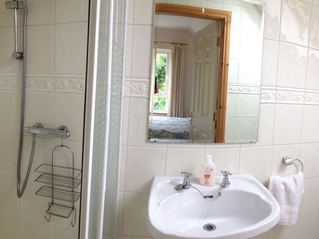 Doppia Standard, bagno in camera