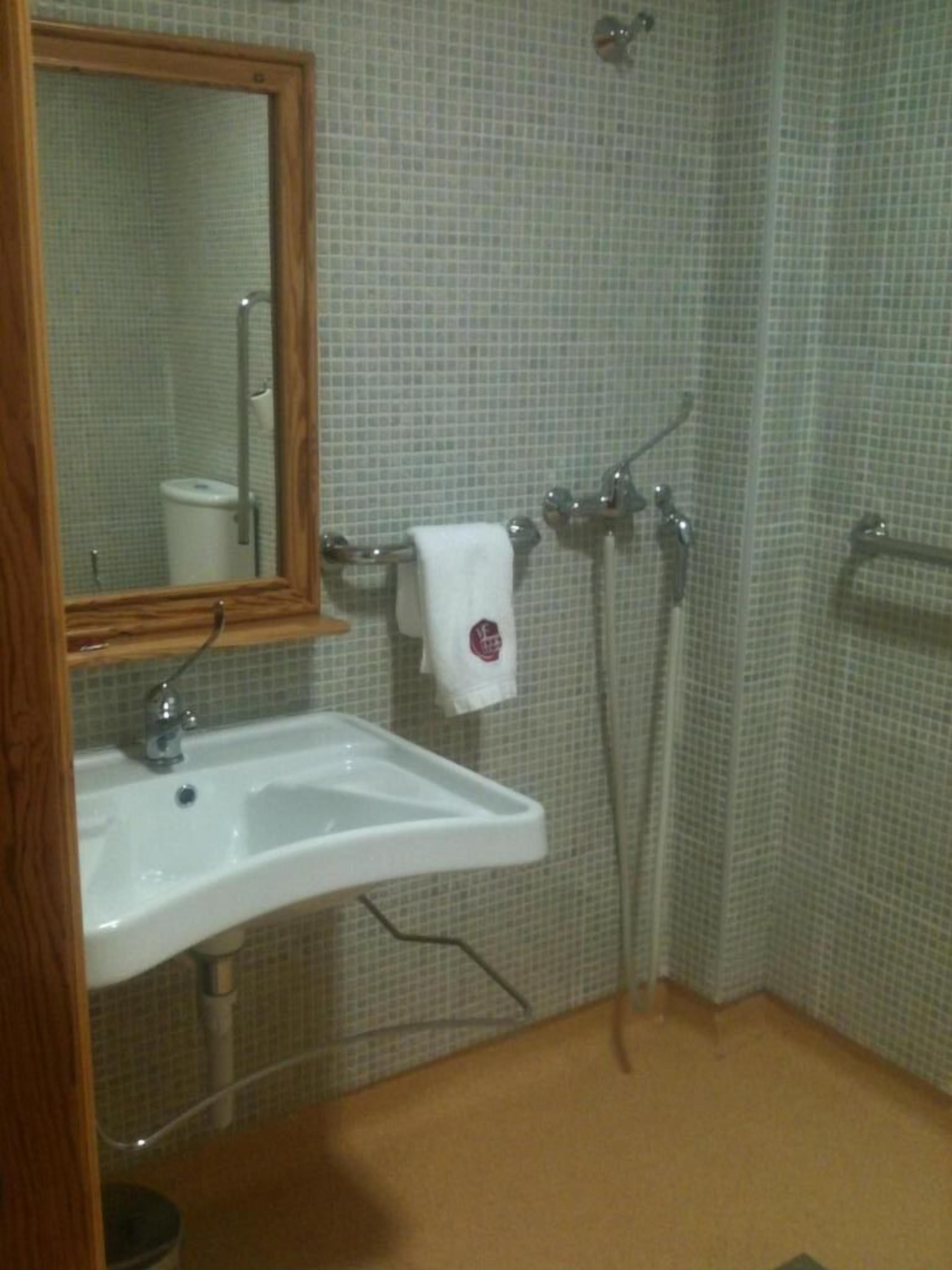 Un bany amb un rentamans blanc, un mirall i una zona de dutxa.