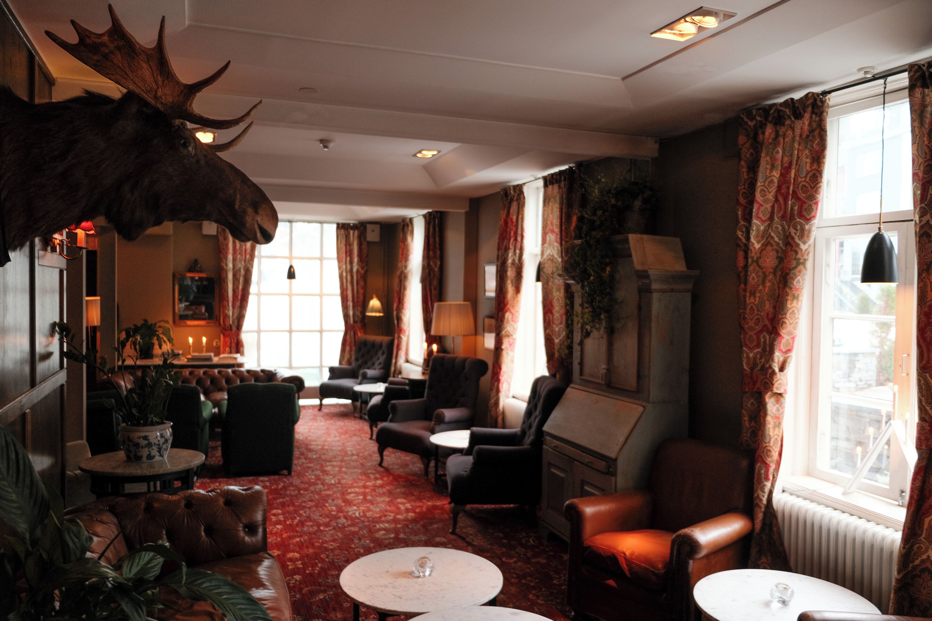 A room with a moose head decoration, leather furniture, a red carpet, and large windows with curtains.