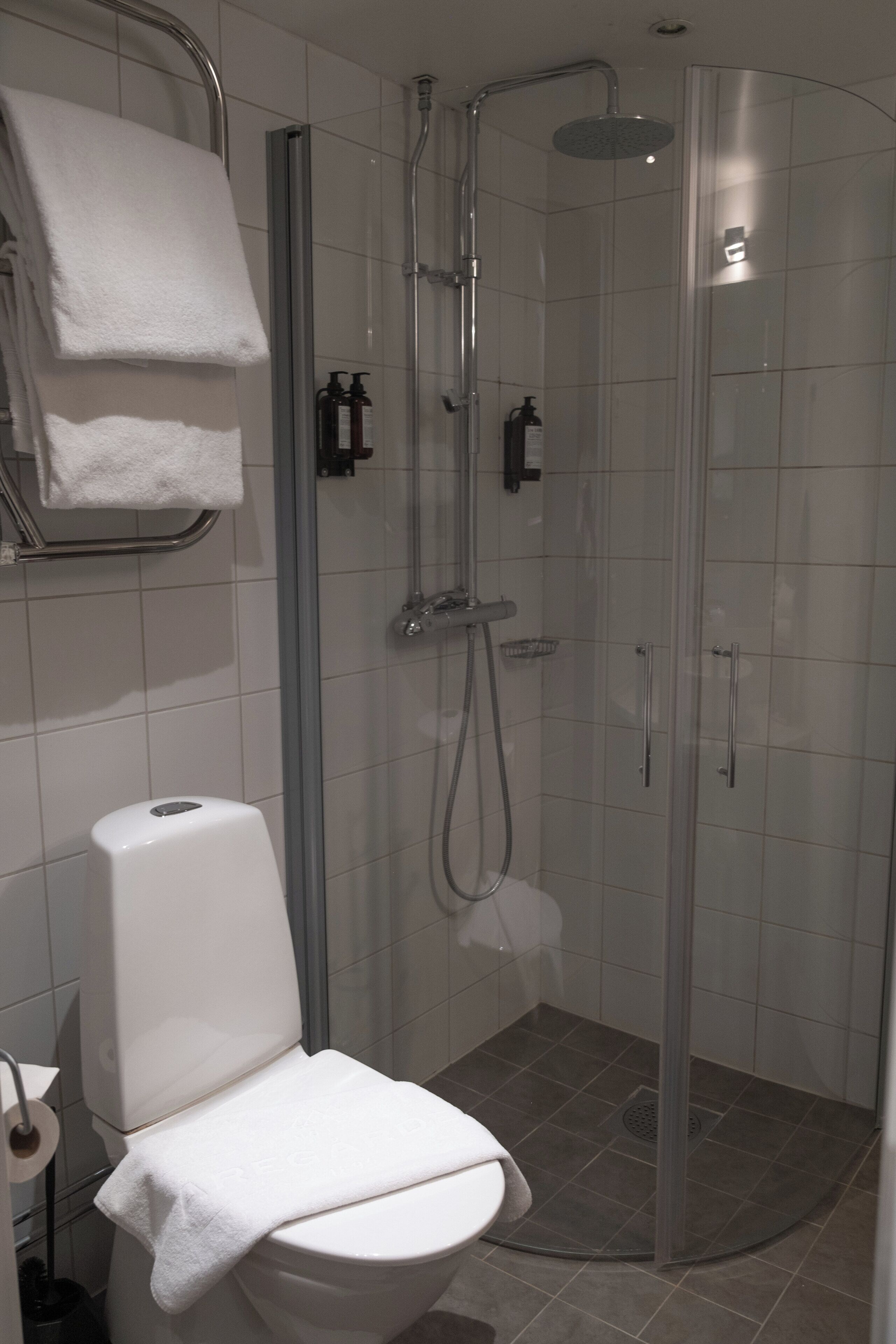Baño con inodoro, cabina de ducha y barra para toallas.