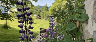 Jasserie Les Airelles