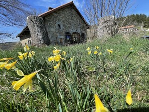 A stone building with a tiled roof, surrounded by a grassy area with yellow daffodils. - Jasserie Les Airelles (Saint-Antheme)