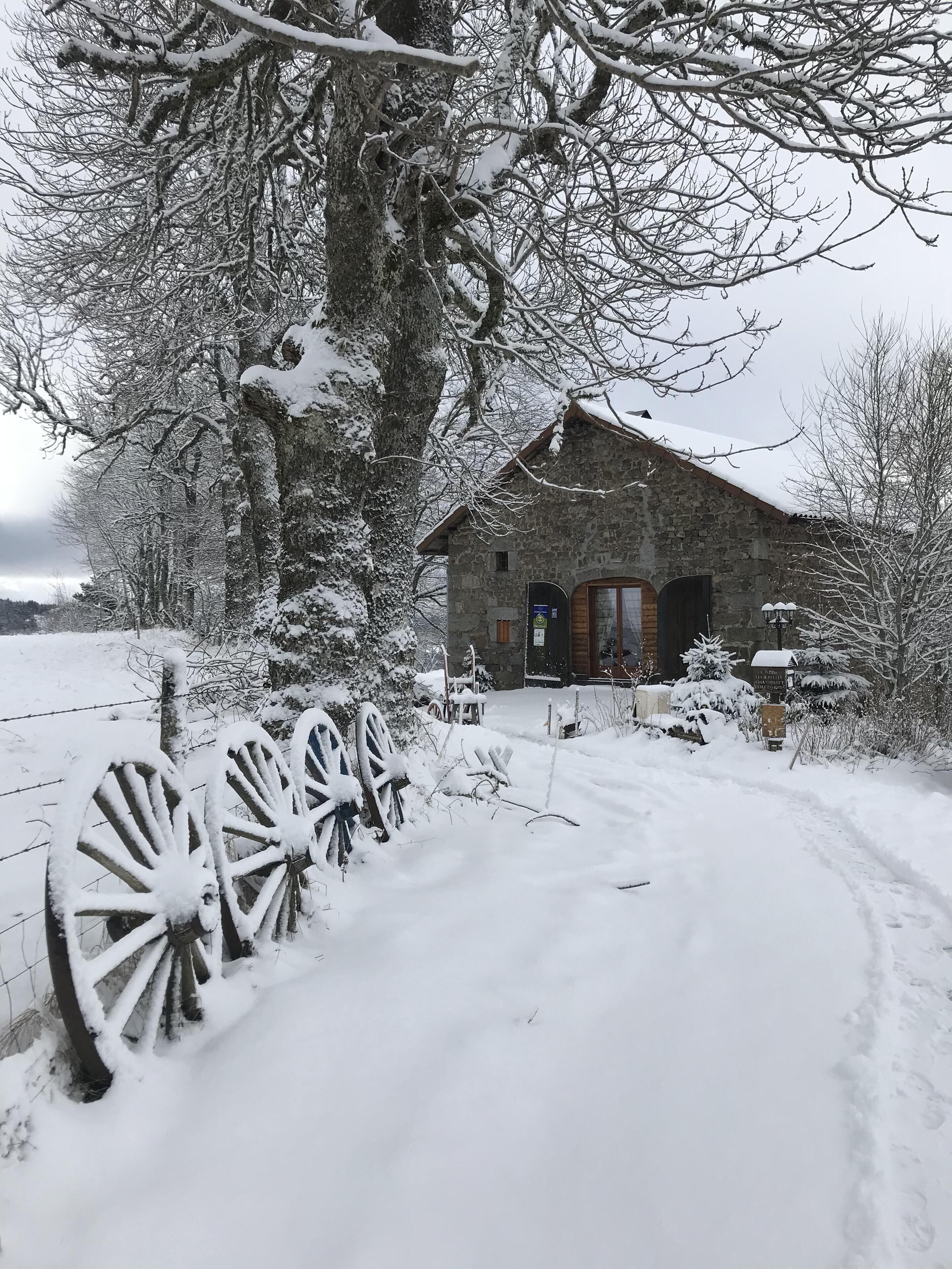 Un bâtiment en pierre avec une porte en bois, entouré d’arbres couverts de neige et d’un sentier également recouvert de neige.