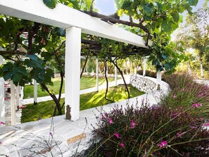 Property grounds - Villa dell' Angelo (Skiathos)