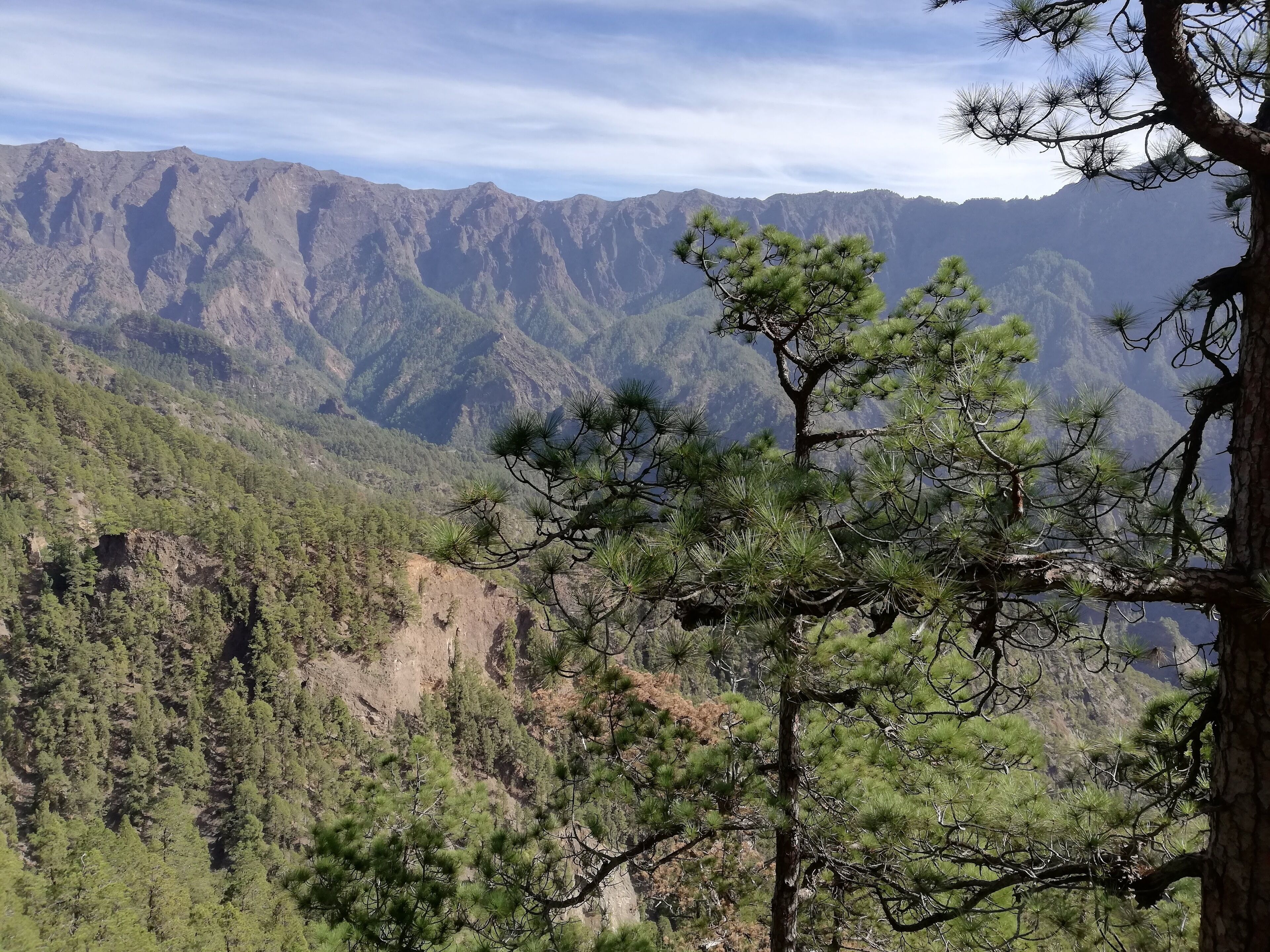 Foto - Hostel Albergue La Casa Encantada