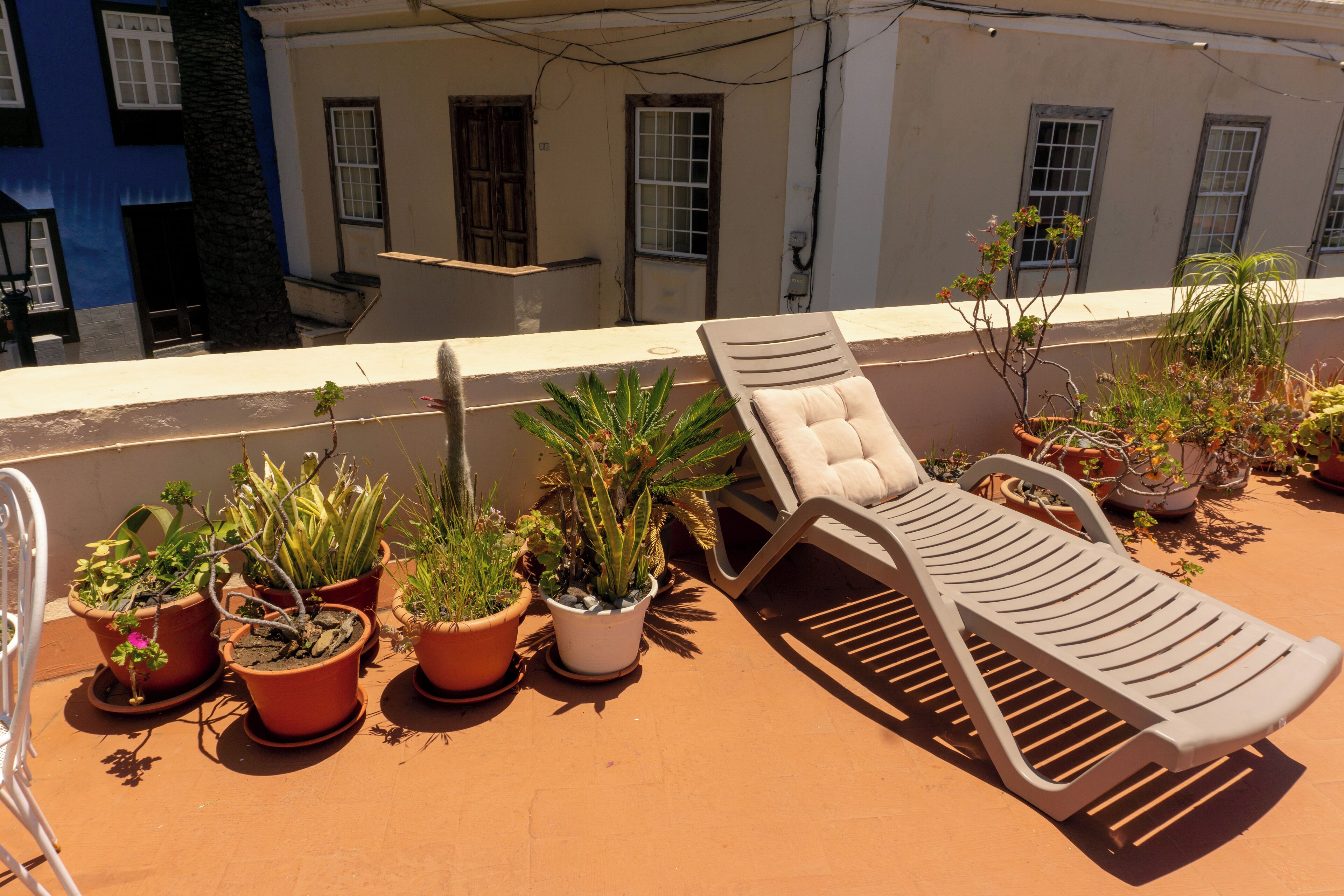 A rooftop terrace with potted plants and a lounge chair.