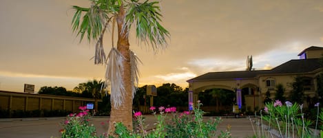 Front of property – evening/night