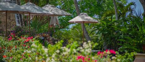 A lush garden with tropical plants and flowers, outdoor umbrellas, and a stone building with a window.