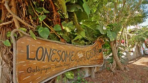 A wooden sign with the text 'LONSOME HOUSE Galapagos - Santa Cruz'. - Lonesome George Ecolodge (Puerto Ayora)