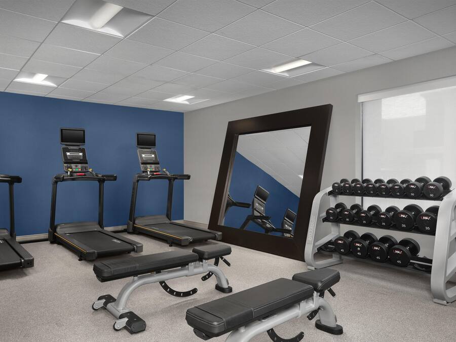 A gym with treadmills, a bench, dumbbells, and a mirror.