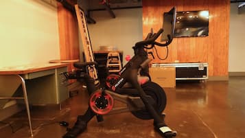 A stationary bike in a room with wooden walls, a desk, and a television mounted on the wall.