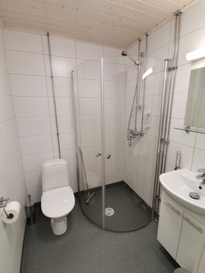 Shower, free toiletries, hair dryer, bidet