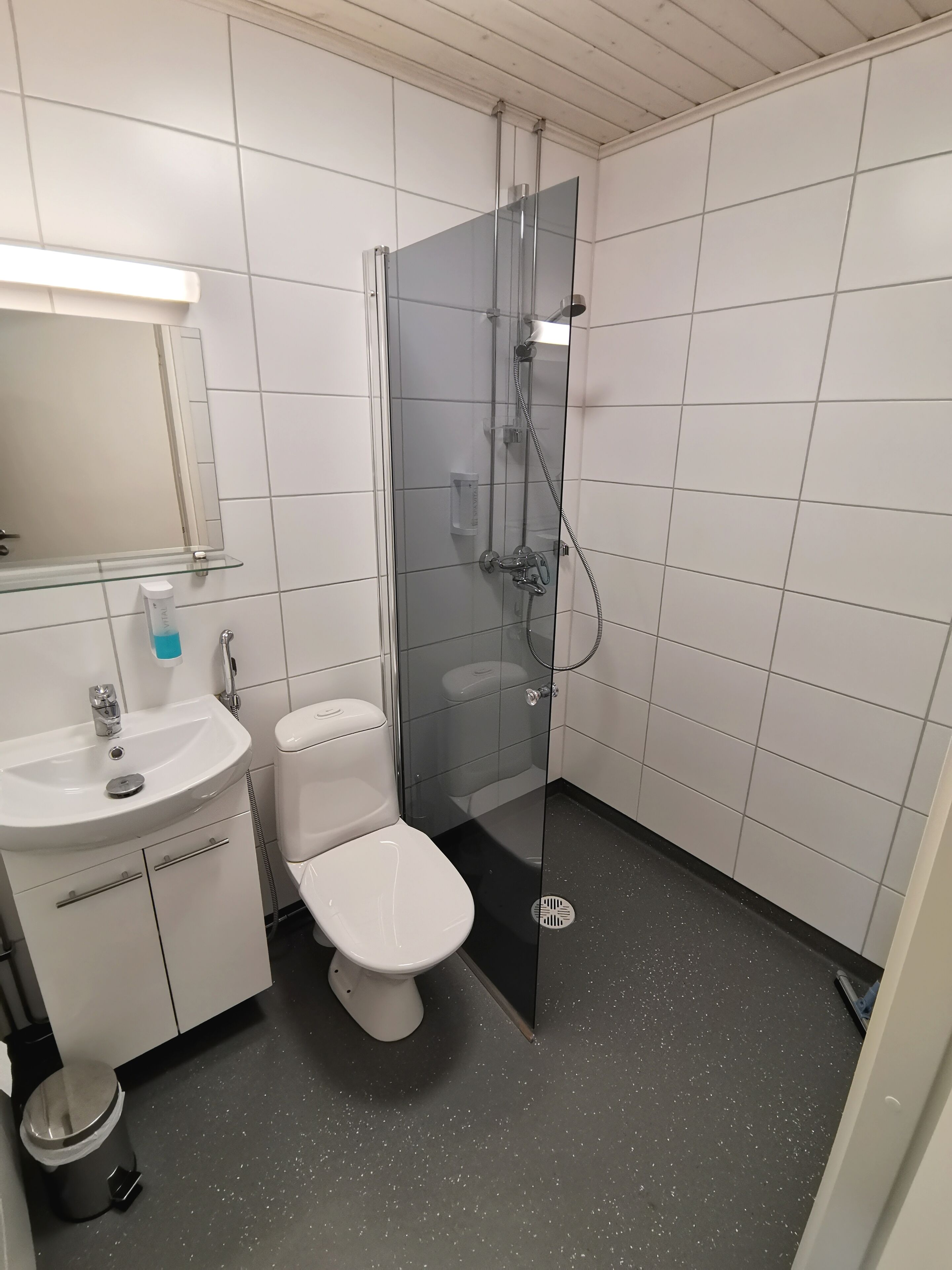 shower, free toiletries, hair dryer, bidet