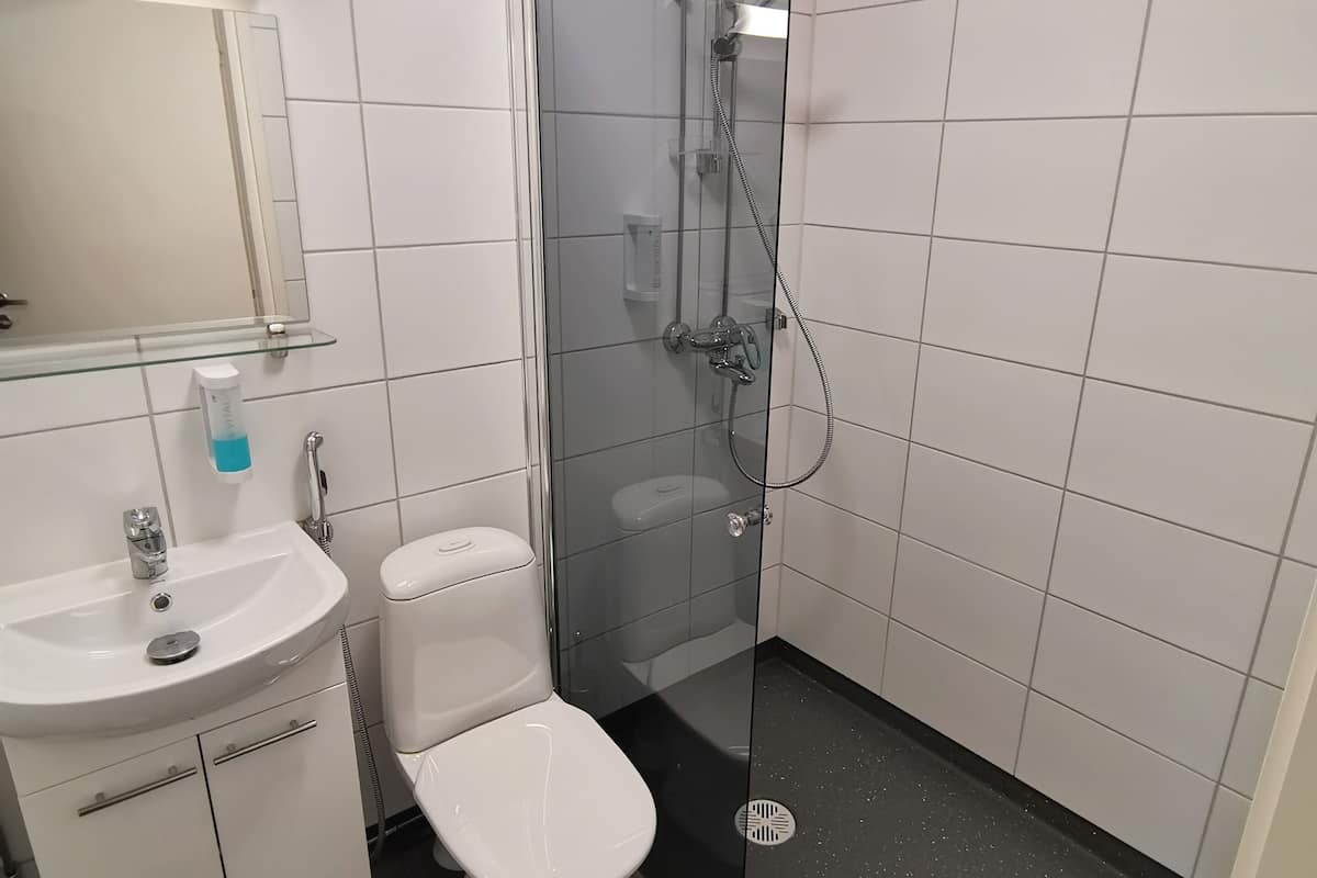 shower, free toiletries, hair dryer, bidet