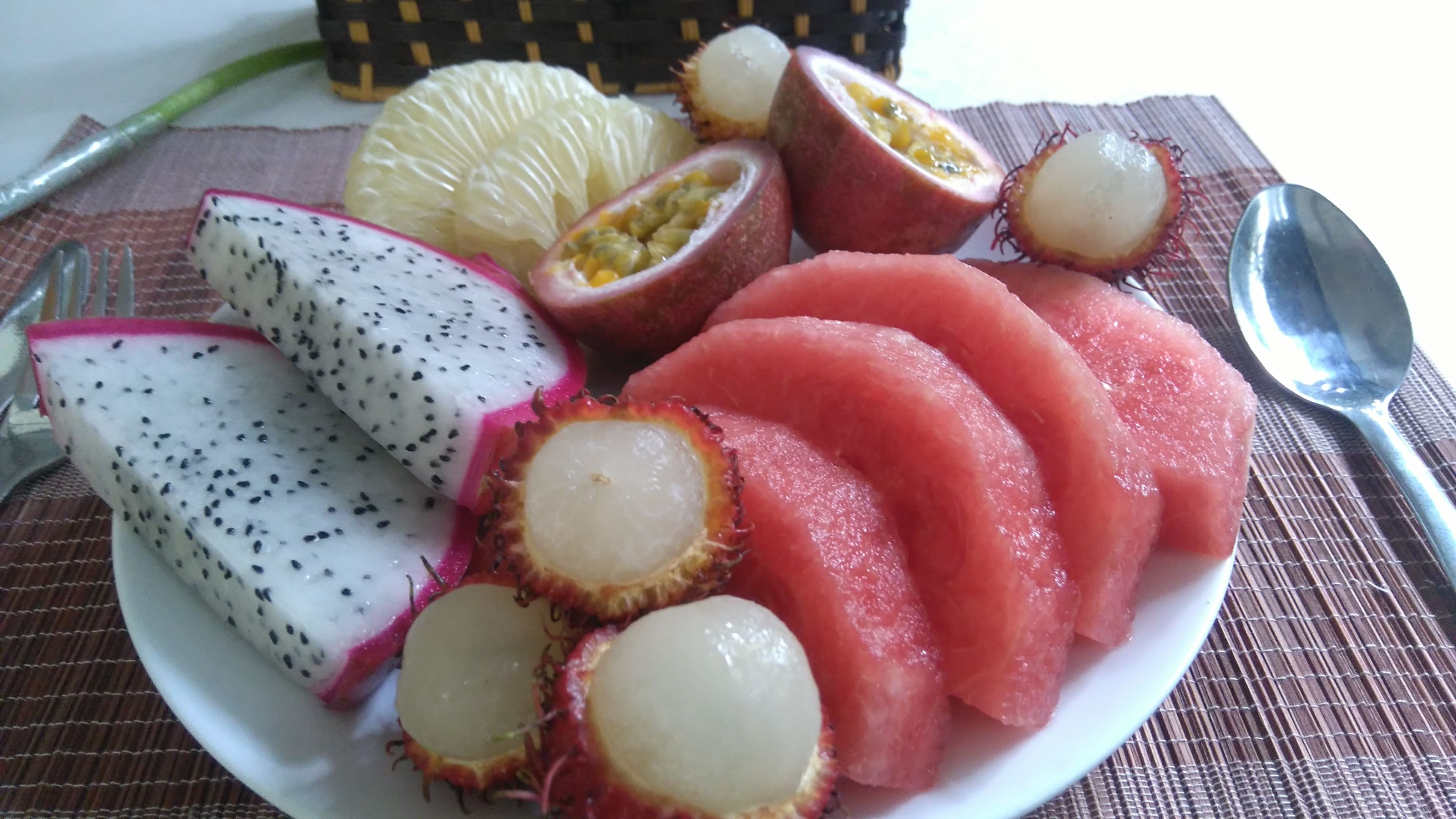 Photo - Green Coco Homestay Hoi An