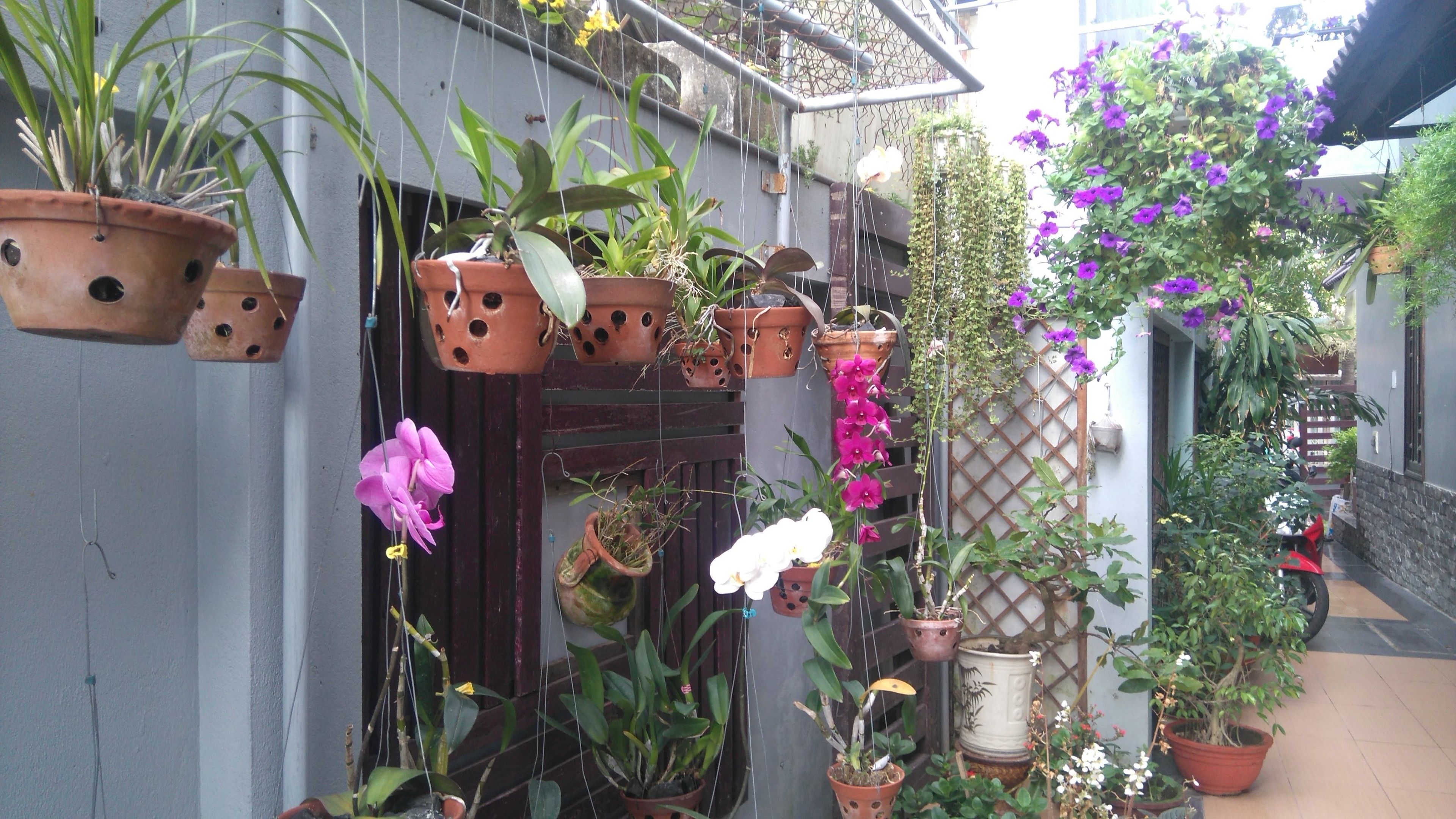 Diversas plantas y flores en macetas dispuestas a lo largo de una barandilla de balcón.