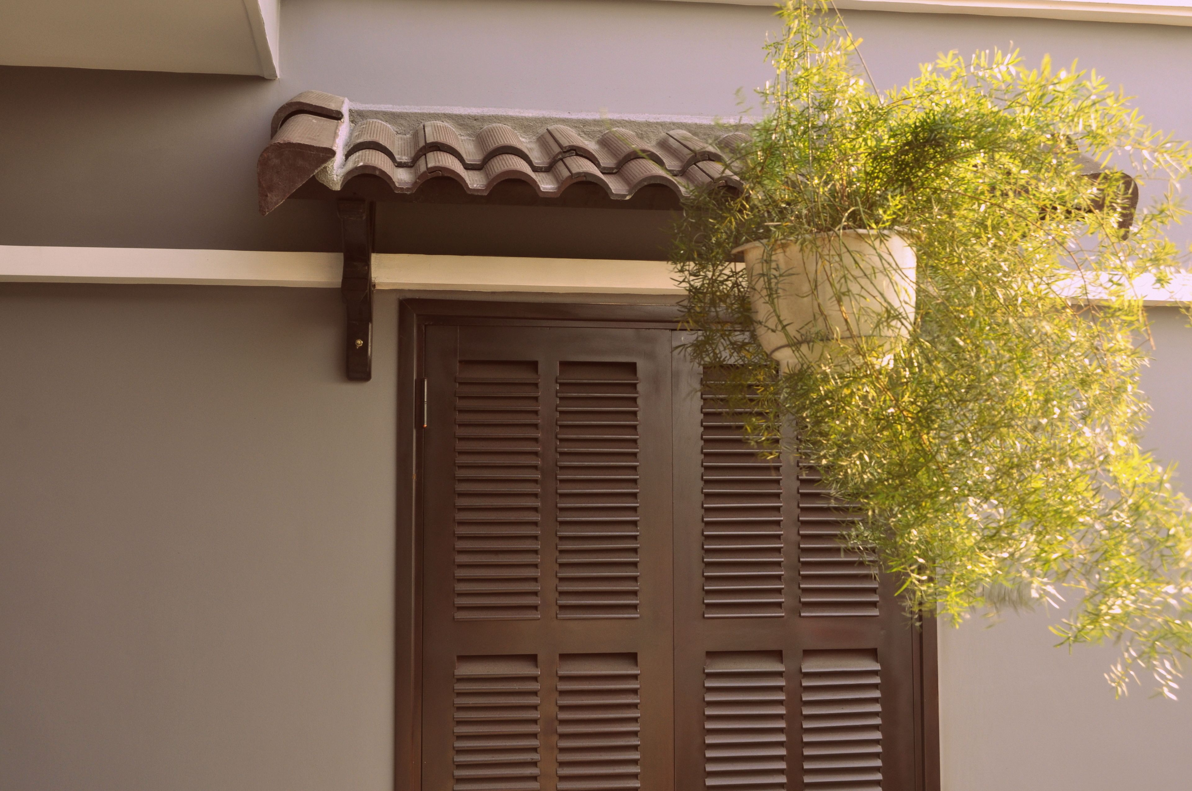 Photo - Green CoCo HomeStay