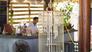 A restaurant interior with bamboo ceiling, red lanterns, and a decorative birdcage. - Lang Dong An Bang (Da Nang)