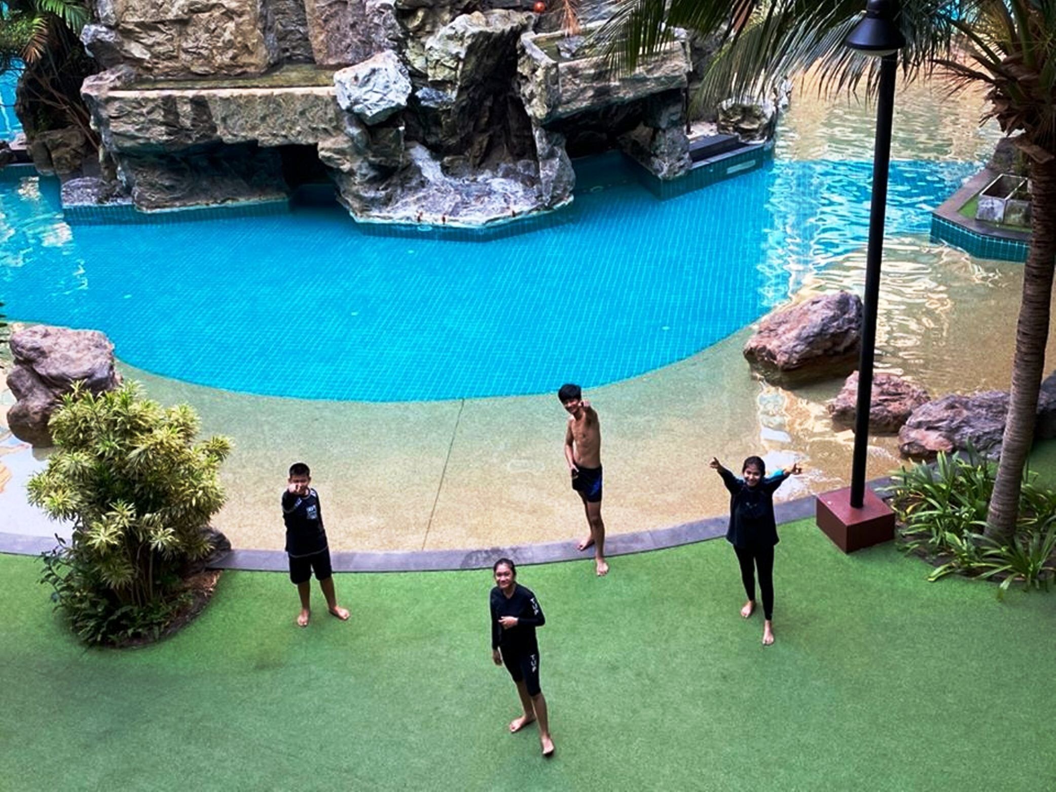 A swimming pool with a rocky waterfall feature, surrounded by greenery and palm trees.